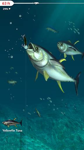 Rapala Fishing - Daily Catch screenshot 5