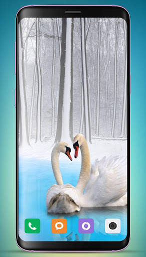 Swan Wallpaper screenshot 14