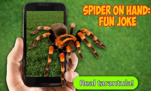 Scary Spider AR screenshot 1