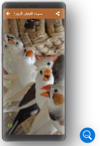 Sounds of birds Zebra Finch Kicauاصوات فناكر فينيش screenshot 2