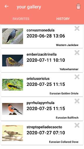 Bird Identification स्क्रीनशॉट 5