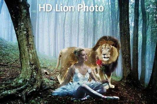 Lion Photo Frame screenshot 6