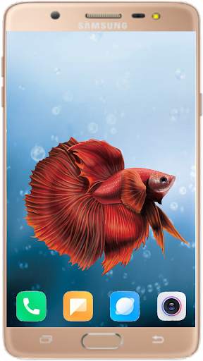 Betta Fish Wallpaper screenshot 8