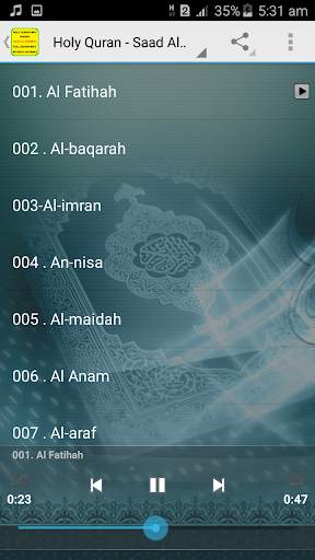 Saad Al Ghamidi Full Quran Offline MP3 screenshot 2