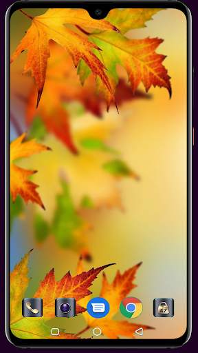 Autumn Wallpaper 4K Latest screenshot 14