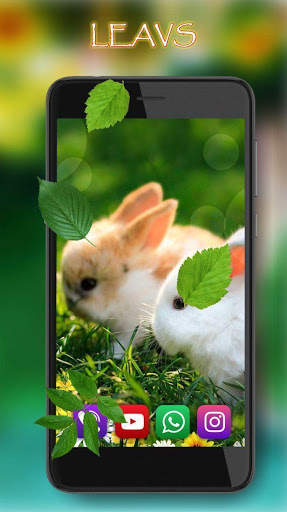 Bunnies Live Wallpaper screenshot 5