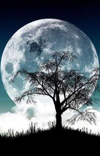 Moonlight Wallpaper screenshot 2