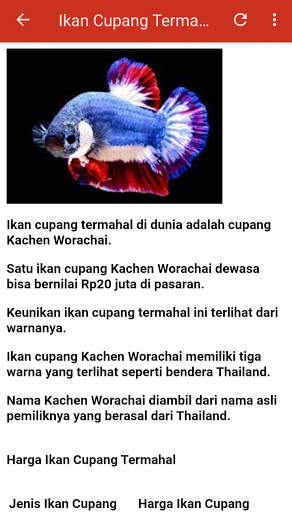 Ikan Hias Cupang screenshot 2