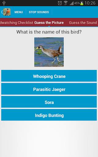 North American Birds Free screenshot 4