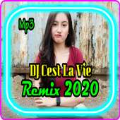 DJ C'EST LA VIE REMIX OFFLINE logo