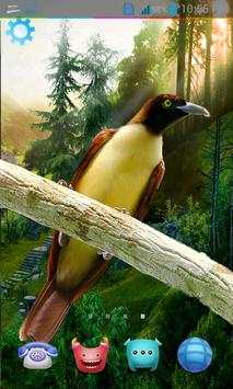 Birds Live Wallpaper 3D screenshot 4