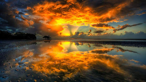 Nature Live Wallpaper : 7fon & LWP screenshot 11