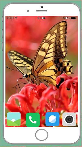 Butterfly Full HD Wallpaper screenshot 4