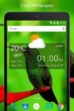 Live Bird Wallpaper screenshot 2