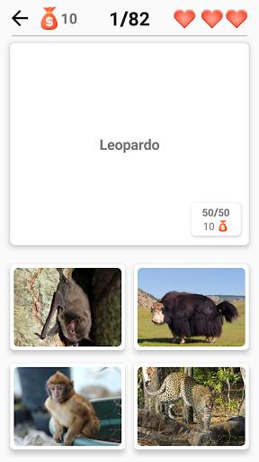 Mammiferi -Scopri tutti gli animali in Photo-Quiz! screenshot 4