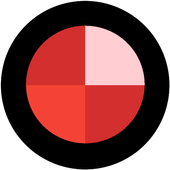Hidden Camera icon