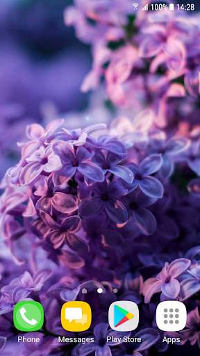 Beautiful Spring Flowers Live Wallpaper screenshot 7