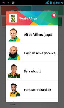 Cricket World Cup Craze 2015 screenshot 5