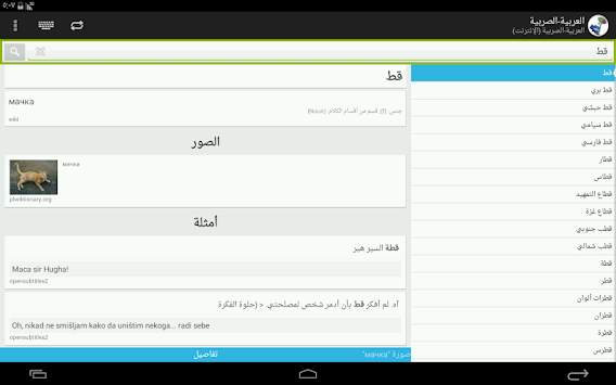 Arabic-Serbian Dictionary screenshot 7