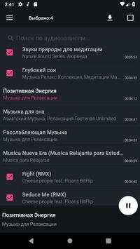Audio Manager скриншот 3