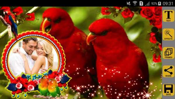 Love Birds Photo Frames screenshot 2