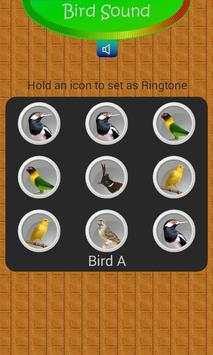 Sound Bird Singing screenshot 4