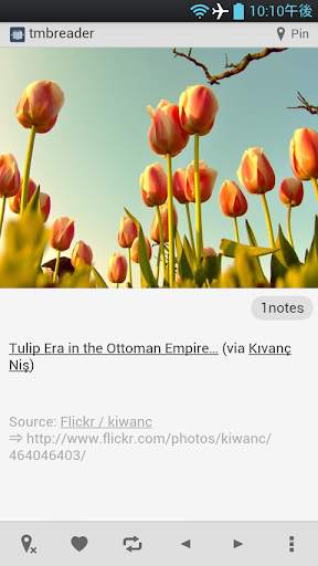 TmbReader for Tumblr screenshot 1