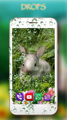 Bunnies Live Wallpaper screenshot 3