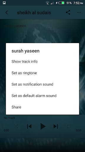 Surah Yaseen mp3 screenshot 3