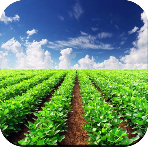 Agriculture Wallpaper HD 1.02