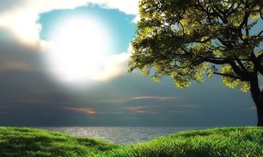 Nature Photo Editor screenshot 5