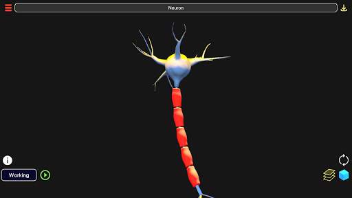 3D Biology   4 تصوير الشاشة