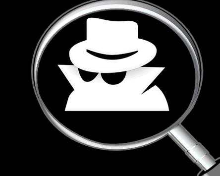Safenple Secret Browser screenshot 2