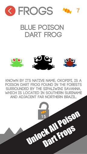 GO Frog GO screenshot 3