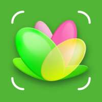 NatureID - распознавание растений, цветов по фото on 9Apps