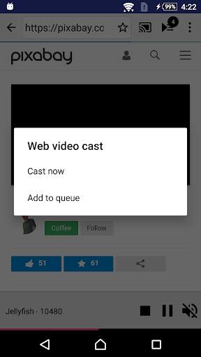 Web Video Cast Chromecast screenshot 5