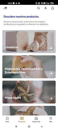 Lesaffre y yo screenshot 2