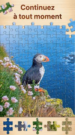 Puzzles - jeux de puzzle screenshot 4