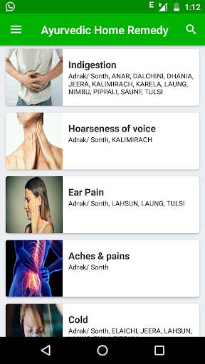 Ayurvedic Home Remedies - English Offline screenshot 1