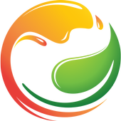 IN Browser icon