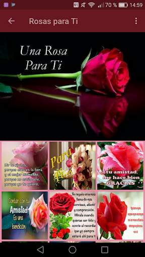 Roses with Beautiful Phrases 🌹 13 تصوير الشاشة