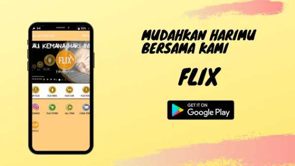 Flix screenshot 2
