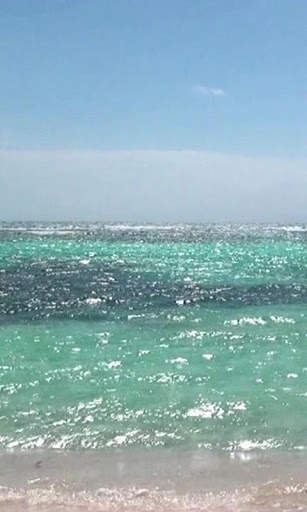 Hot summer and the sea screenshot 2