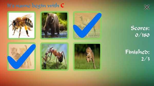 Animal Game - offline screenshot 2