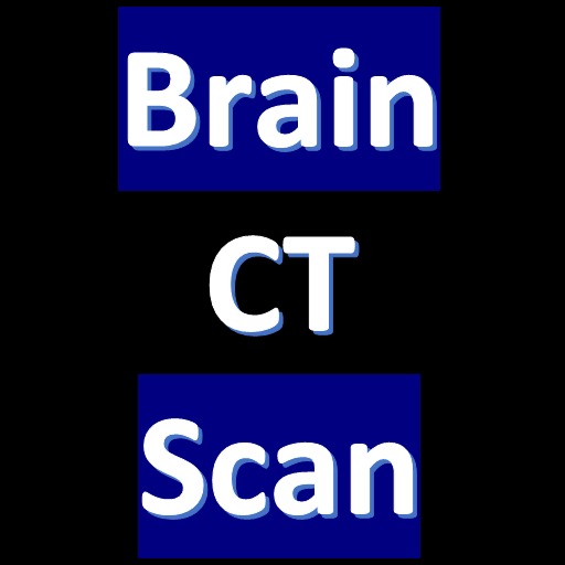 CT Scan of Brain icon