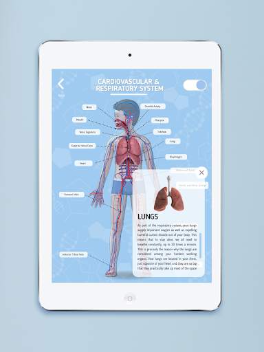 Humanoid 4D  screenshot 11