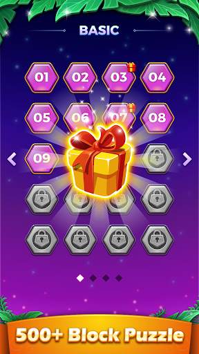 Hexa Block Puzzle - Classic Block Games screenshot 4