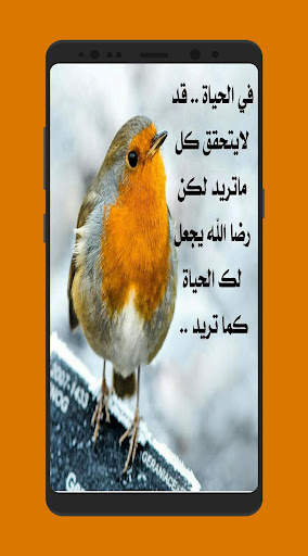 كلمات من دفاتر الايام screenshot 1