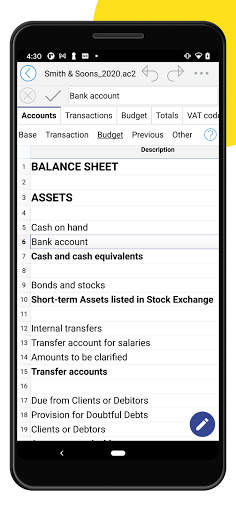 Banana Accounting Mobile screenshot 3