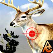 Deer Hunting Sniper Game 1.0